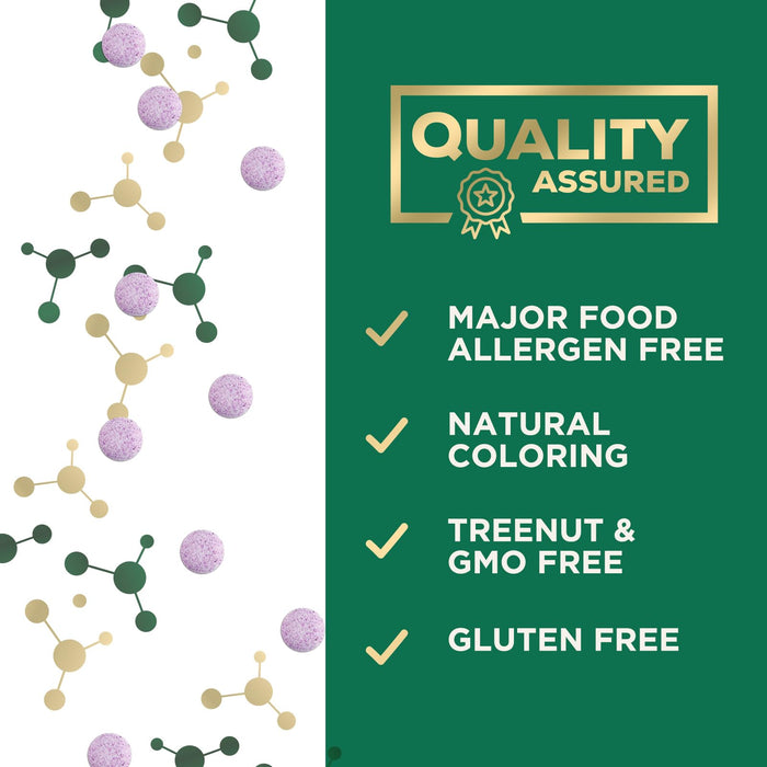 Vitamin B12 (Methylcobalamin) 1000 mcg - Chewable Tablet for Energy, Nervous System & Brain Support - Maximum Strength, Fast Dissolve, Vegan, Gluten-Free, Non-GMO for Women & Men - 60 Tablets