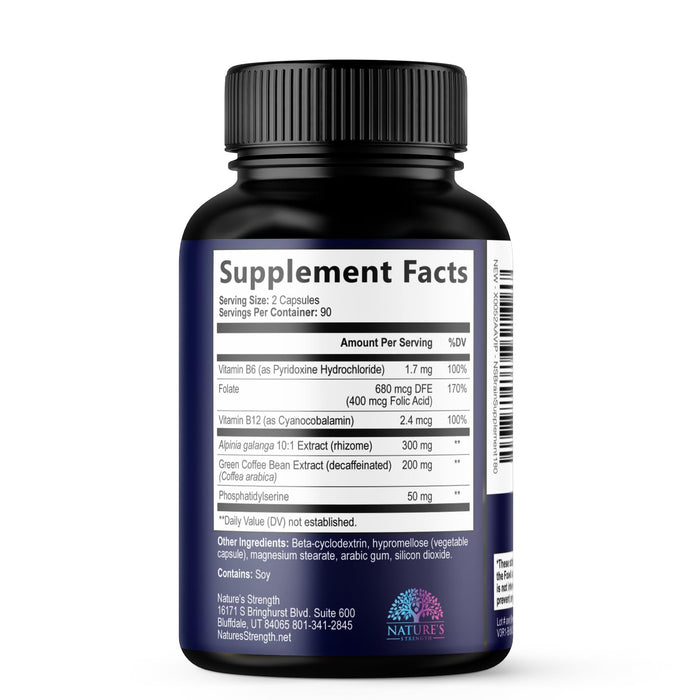 Brain Memory – 180 Capsules