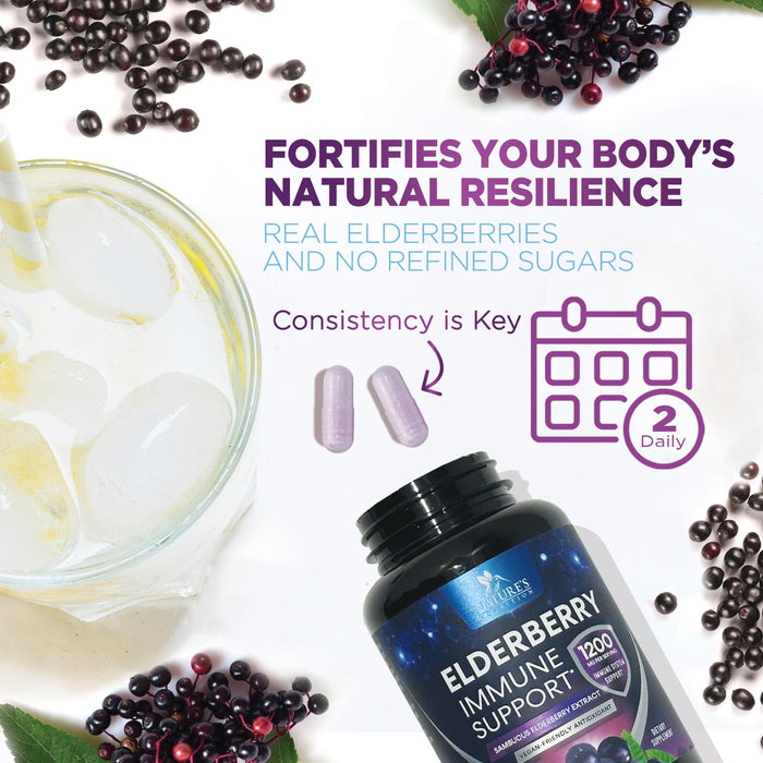 Elderberry Immune Support 1200mg Extract Capsules - Daily Immune Support for Adults with Concentrated Sambucus Black Elderberry Antioxidant - Gluten Free Vitamin, Non-GMO Supplement - 60 Capsules