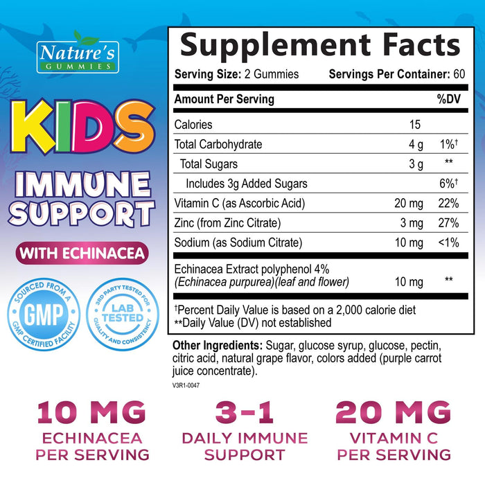 Kids Immune Support Supplement Gummies - Daily Childrens Vitamins C, Zinc & Echinacea - Gummy for Kids Immunity Support, Ages 4 and Up, Natural Berry Flavor, Non-GMO, Gluten-Free & Vegan - 120 Gummies