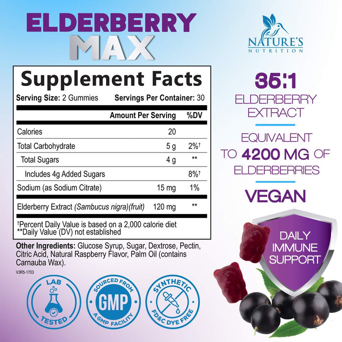 Elderberry Immune Support Gummies - Super Concentrated 35:1 Extract, Equivalent to 4200mg of Elderberries - Sambucus Black Elder Berry Vitamin Supplement, Daily Support for Kids & Adults - 60 Gummies