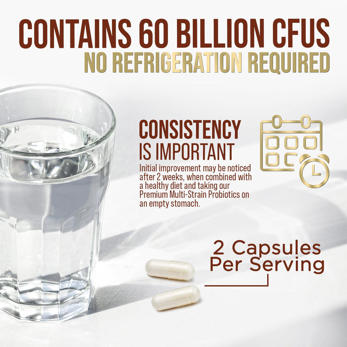 Probiotics for Women & Men - 60 Billion CFU 10 Strains + Prebiotics - Digestive Health, Gut & Immune Support - Support for Occasional Constipation, Gas & Bloating - Non-GMO Shelf Stable - 60 Capsules