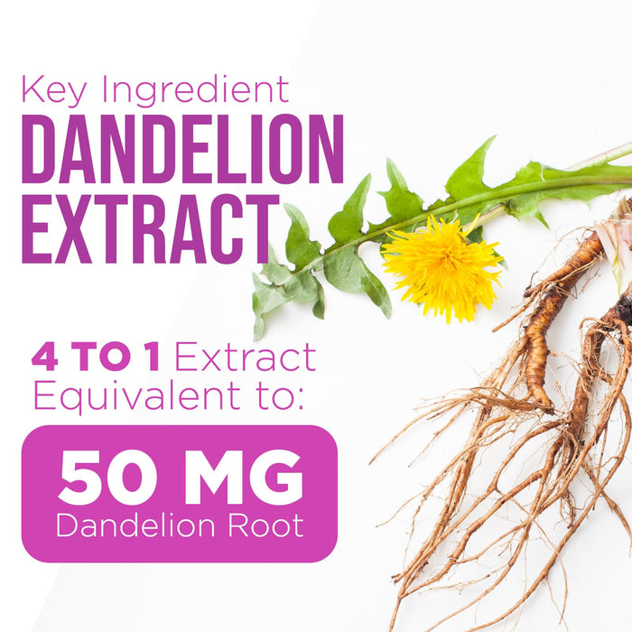 Milk Thistle Supplement - Liver Cleanse Detox & Repair Formula 1000mg with Dandelion - Nature's Herbal Milk Thistle Extract Supplements w/Silymarin Marianum, Supports Liver Health - 120 Capsules