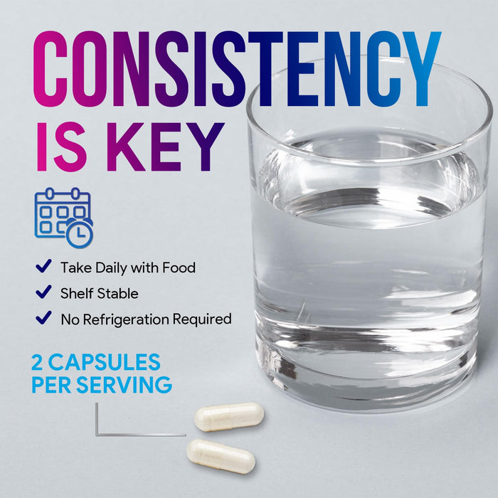 Akkermansia Probiotic Supplement - 2 Billion AFU GLP-1 Supplement with Prebiotic Fiber - Akkermansia Muciniphila GLP-1 Probiotics for Women & Men - Digestive, Gut & Immune Support - 120 Capsules