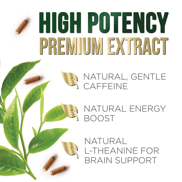 Green Tea Extract Capsules 1000mg 98% Standardized EGCG - 3X Strength for Natural Energy - Heart Support with Polyphenols - Gentle Caffeine - 120 Capsules