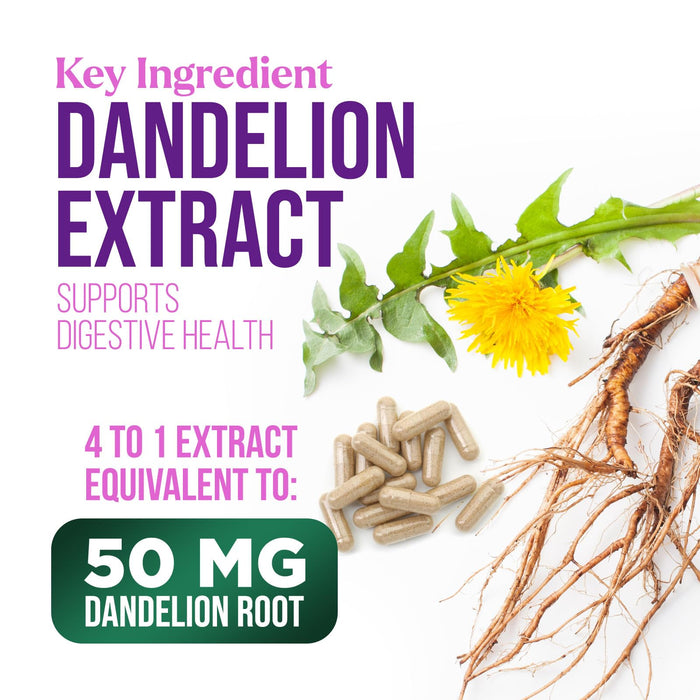 Milk Thistle Extract - Liver Cleanse Detox & Repair Formula with Dandelion Extract 1000mg - Herbal Liver Supplement - Nature's Milk Thistle w/Silymarin Marianum, Supports Liver Health - 120 Capsules