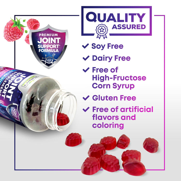 Joint Support – 60 Gummies