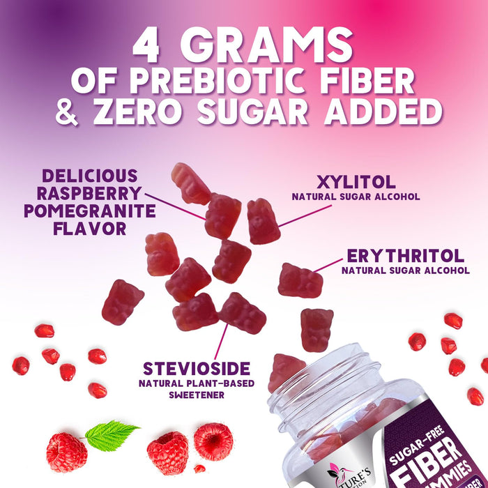 Prebiotic Fiber Gummies - Sugar Free 4g Gummy Fiber Supplement for Adults Digestive Health & Regularity Support - Natural Raspberry Flavor, Plant Based Blend, Non-GMO & Gluten Free - 60 Gummies