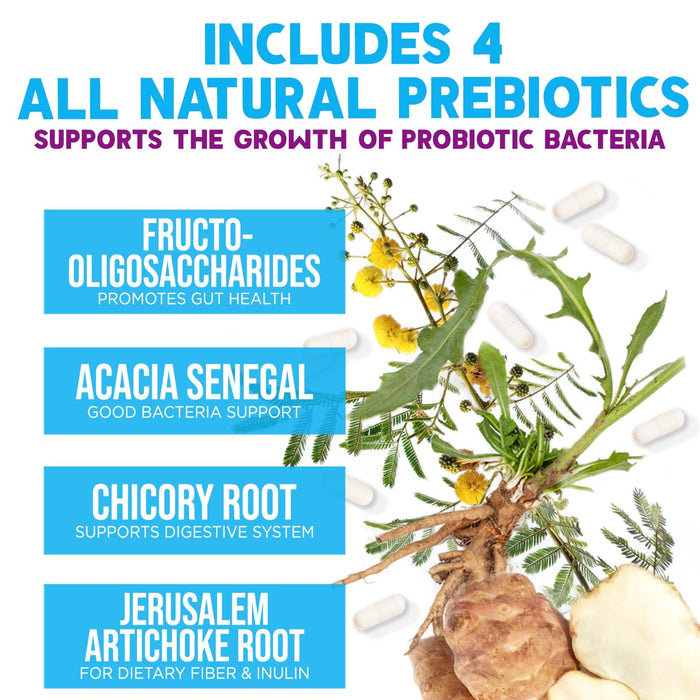 Probiotics for Women & Men 100 Billion CFU - 10 Strains with Lactobacillus, Digestive Gut Health Probiotics & Immune Support Supplement, Supports Occasional Constipation, Gas & Bloating - 120 Capsules