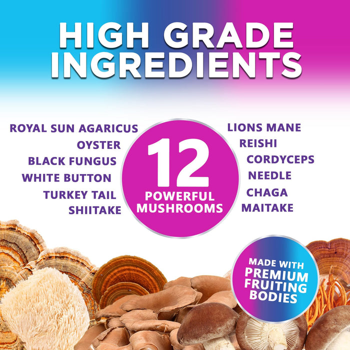 Mushroom Supplement Gummies - 12 in 1 with Lions Mane, Reishi, Cordyceps, Chaga & Turkey Tail Mushroom Complex, Immune Support & Nootropic Brain Supplements for Memory, Energy & Focus - 60 Gummies