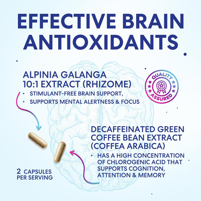 Brain Memory – 60 Capsules