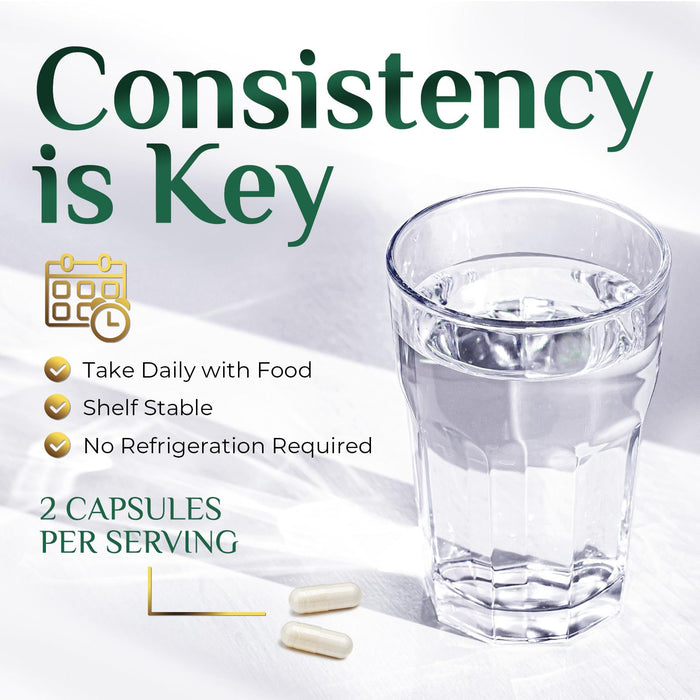 Akkermansia Probiotic Supplement for Women & Men, Akkermansia Muciniphila GLP 1 Probiotics with Prebiotic, 2 Billion AFU, Natural Digestive, Gut Health, & GLP 1 Production Support, 120 Capsules