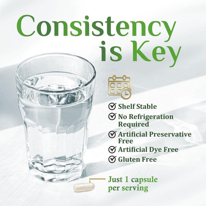 Probiotics for Women Capsules - 100 Billion CFU Prebiotics, Acidophilus Probiotics Supports Immune System Digestive Health, Supports Occasional Constipation & Bloating, Daily Supplement - 60 Capsules