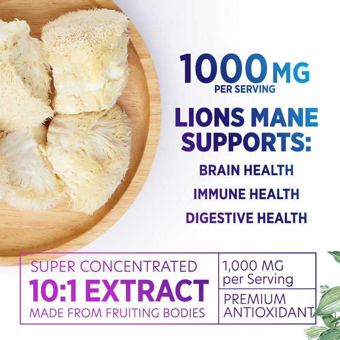 Lions Mane Mushroom – 120 Capsules