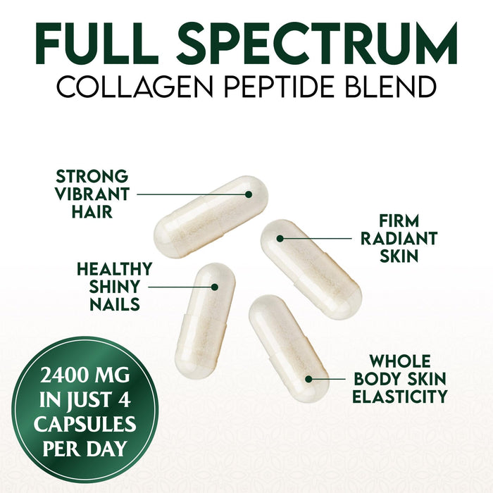 Multi Collagen Peptides Supplement 2400 mg, Types I, II, III, V & X Multi Collagen Pills Complex, Hydrolyzed Collagen Peptides Supplements, Hair, Skin, Nail, and Joint Support Supplement, 120 Capsules