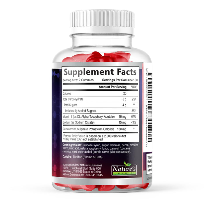 Joint Support – 60 Gummies