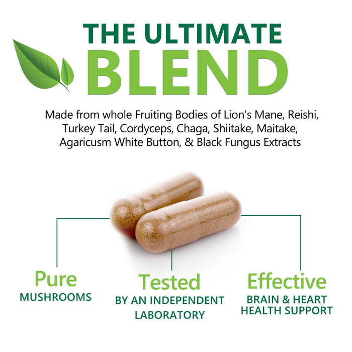 Mushroom Supplement Nootropic 1330mg - 10 in 1 High Strength Brain Supplements Mushroom Complex with Lions Mane, Turkey Tail, Reishi, Cordyceps & Chaga for Memory, Brain & Focus Support - 120 Capsules