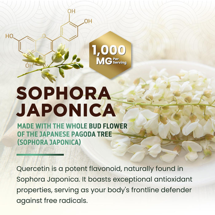 Quercetin 1000mg Per Serving – Extra Strength Quercetin Dihydrate Capsules from Sophora Japonica – Plant-Based Bioflavonoids for Cellular & Immune Support – Non-GMO, Vegan - 120 Veggie Capsules