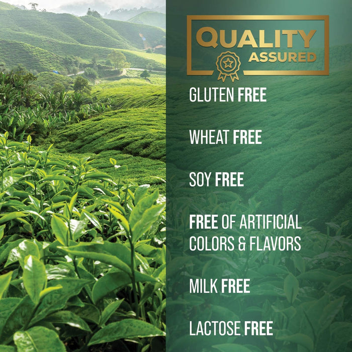 Green Tea Extract Capsules 1000mg with 98% Standardized Polyphenols & 45% EGCG for Heart Support with Antioxidants - 3X Absorption Green Tea Pills for Natural Energy, Gentle Caffeine - 240 Capsules