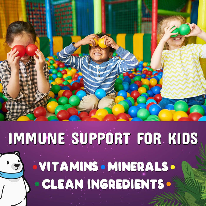 Kids Immune Support Gummies - Vitamin C, Zinc & Echinacea, Children's Daily Immune Health Support Gummy for Ages 4 and Up, Nature's Vitamins for Kids, Vegan & Non-GMO, Berry Flavor - 120 Gummies