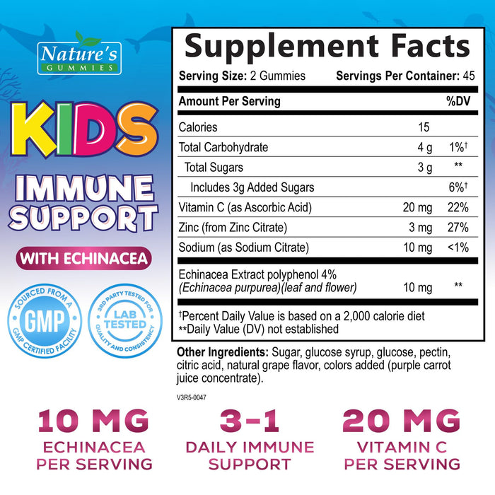 Kids Immune Support Supplement Gummies - Daily Childrens Vitamins C, Zinc & Echinacea - Gummy for Kids Immunity Support, Ages 4 and Up, Natural Berry Flavor, Non-GMO, Gluten-Free & Vegan - 90 Gummies