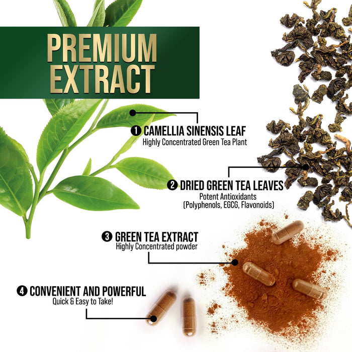 Green Tea Extract Capsules 1000mg 98% Standardized EGCG - 3X Strength for Natural Energy - Heart Support with Polyphenols - Gentle Caffeine - 60 Capsules