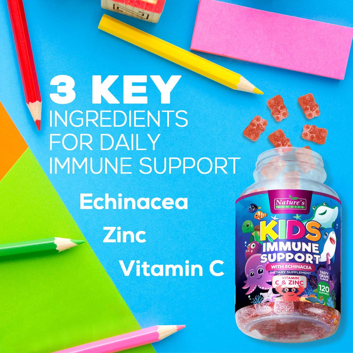 Kids Immune Support Supplement Gummies - Daily Childrens Vitamins C, Zinc & Echinacea - Gummy for Kids Immunity Support, Ages 4 and Up, Natural Berry Flavor, Non-GMO, Gluten-Free & Vegan - 120 Gummies