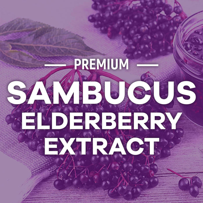 Sambucus Elderberry Immune Support Gummies for Kids & Adults, Elderberry Extract Gummy with Vitamins with Vitamin C, D3, Zinc, Immune Health Support Gummy Supplement, Black Elder Berry - 60 Gummies