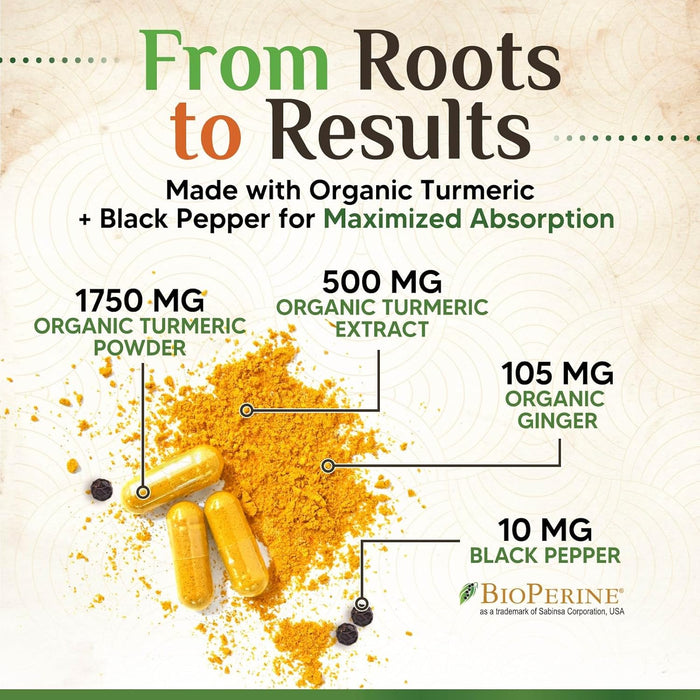 Turmeric Curcumin Supplement 1750mg with Organic Turmeric & Ginger, 95% Curcuminoids, BioPerine Black Pepper for Best Absorption, Nature's Vegan Joint Support, Non-GMO, Bottled in USA - 240 Capsules